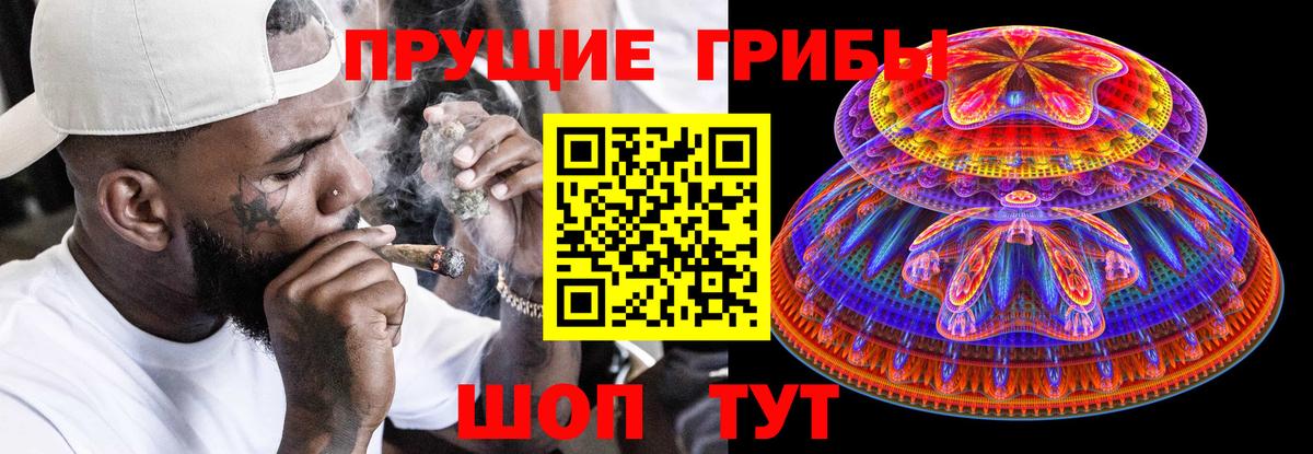 Людиново  Галлюциногенные грибы Psilocybe  Вход с VPN 